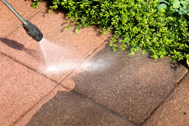 Best Affordable Pressure Washing  in Catawba, SC